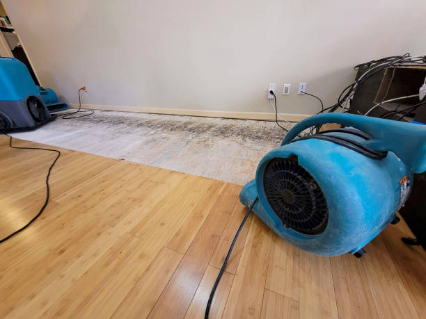 Professional Structural Drying technician working in Springfield, MI